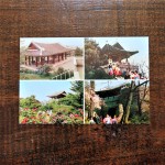 north-korea-postcard-1